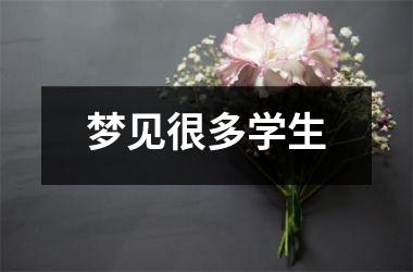 <h3>梦见很多学生