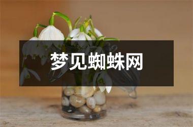 梦见蜘蛛网