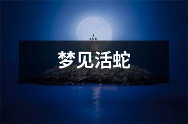 <h3>梦见活蛇