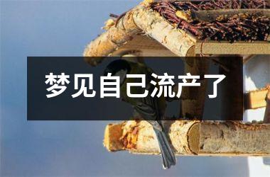 <h3>梦见自己流产了