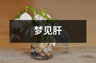 <h3>梦见肝