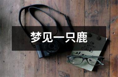 <h3>梦见一只鹿