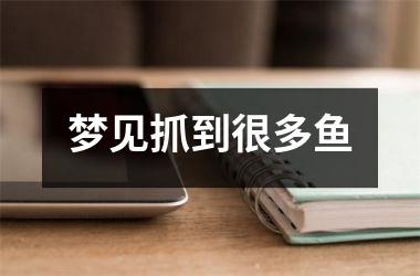 <h3>梦见抓到很多鱼