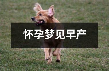 <h3>怀孕梦见早产
