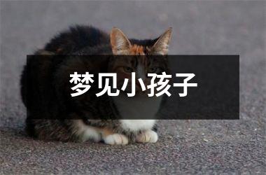 <h3>梦见小孩子