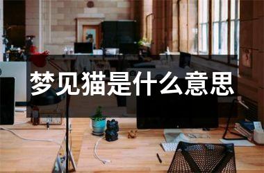 <h3>梦见猫是什么意思