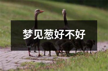 <h3>梦见葱好不好
