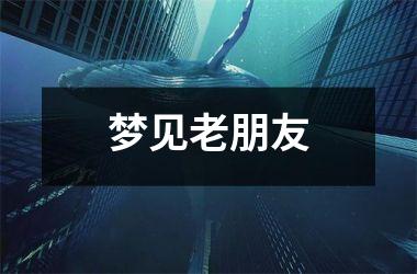 <h3>梦见老朋友