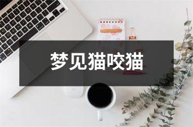 <h3>梦见猫咬猫
