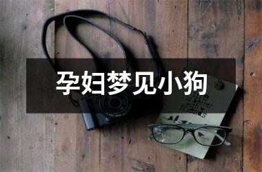 <h3>孕妇梦见小狗