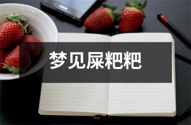 <h3>梦见屎粑粑