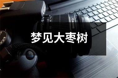 <h3>梦见大枣树