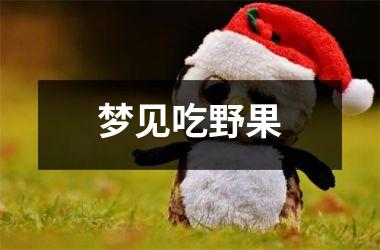 <h3>梦见吃野果