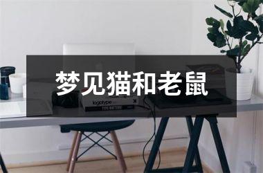 <h3>梦见猫和老鼠
