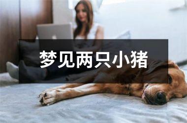 <h3>梦见两只小猪