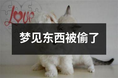 <h3>梦见东西被偷了