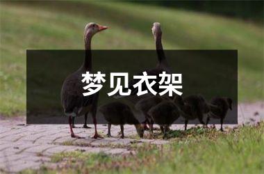 <h3>梦见衣架