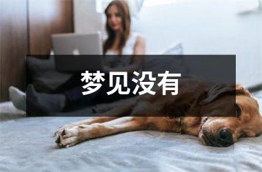 <h3>梦见没有