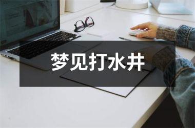 <h3>梦见打水井