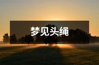 <h3>梦见头绳