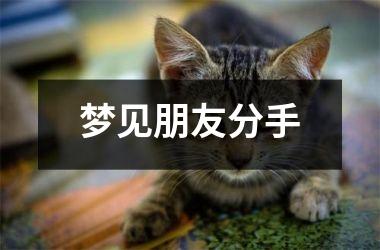 梦见朋友分手