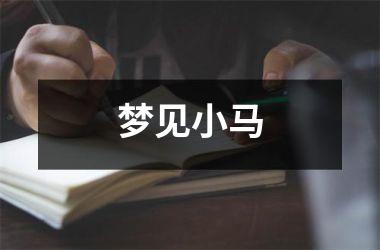 <h3>梦见小马