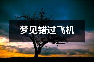 <h3>梦见错过飞机