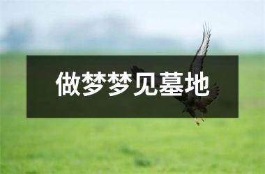 <h3>做梦梦见墓地