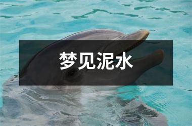 梦见泥水