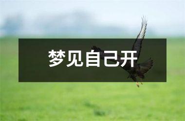 <h3>梦见自己开