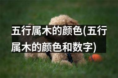 <h3>五行属木的颜色(五行属木的颜色和数字)
