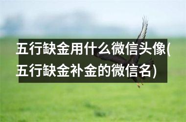五行缺金用什么微信头像(五行缺金补金的微信名)