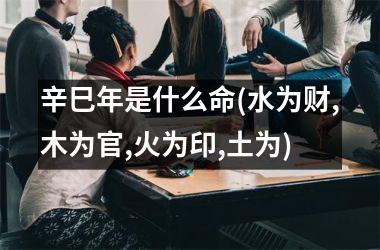 <h3>辛巳年是什么命(水为财,木为官,火为印,土为)