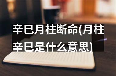 <h3>辛巳月柱断命(月柱辛巳是什么意思)