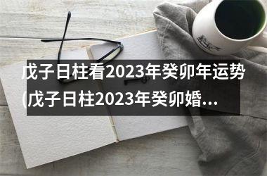 <h3>戊子日柱看2025年癸卯年运势(戊子日柱2025年癸卯婚姻)