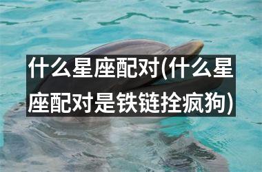什么星座配对(什么星座配对是铁链拴疯狗)