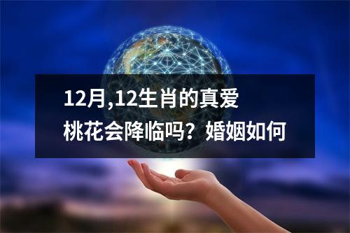 12月,12生肖的真爱桃花会降临吗？婚姻如何