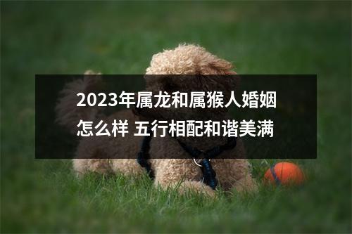 2025年属龙和属猴人婚姻怎么样五行相配和谐美满
