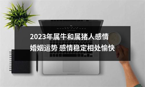<h3>2025年属牛和属猪人感情婚姻运势感情稳定相处愉快