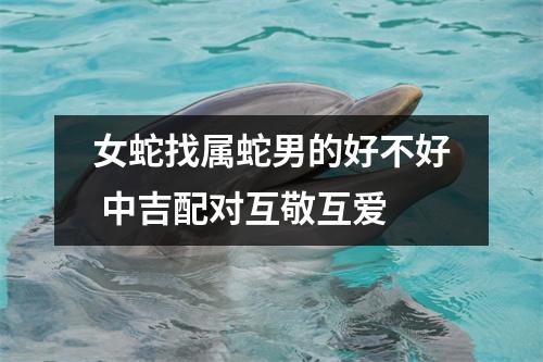 <h3>女蛇找属蛇男的好不好中吉配对互敬互爱