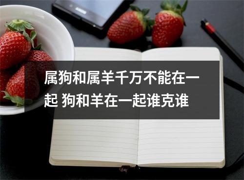 属狗和属羊千万不能在一起狗和羊在一起谁克谁