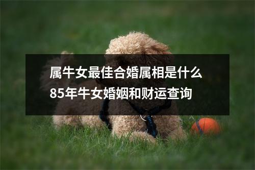 <h3>属牛女佳合婚属相是什么85年牛女婚姻和财运查询