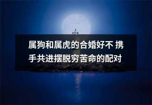 <h3>属狗和属虎的合婚好不携手共进摆脱穷苦命的配对