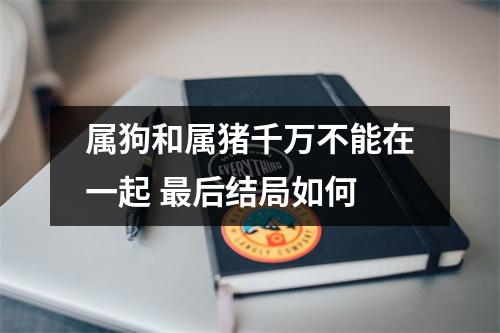 属狗和属猪千万不能在一起后结局如何