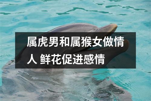 <h3>属虎男和属猴女做情人鲜花促进感情