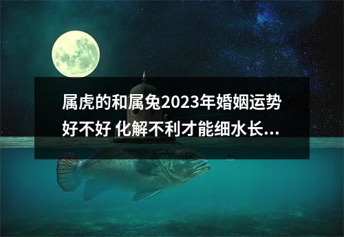属虎的和属兔2025年婚姻运势好不好化解不利才能细水长流