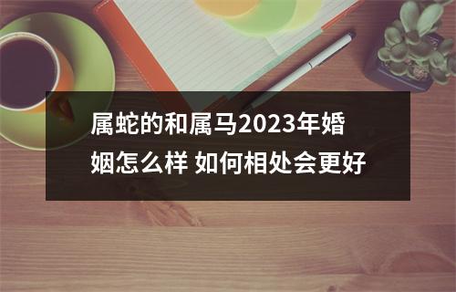 <h3>属蛇的和属马2025年婚姻怎么样如何相处会更好