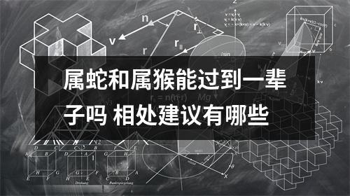 <h3>属蛇和属猴能过到一辈子吗相处建议有哪些