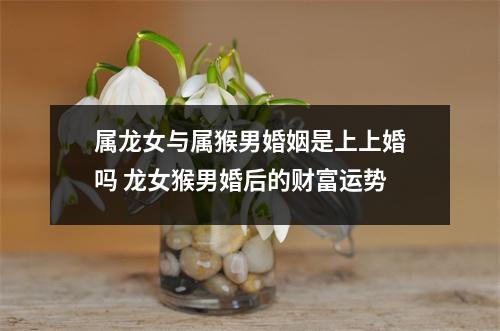 <h3>属龙女与属猴男婚姻是上上婚吗龙女猴男婚后的财富运势