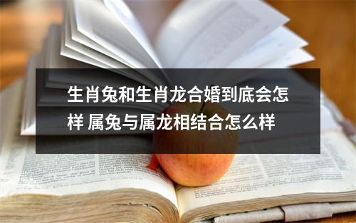 <h3>生肖兔和生肖龙合婚到底会怎样属兔与属龙相结合怎么样